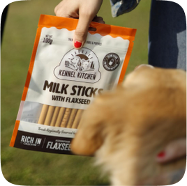 dog image