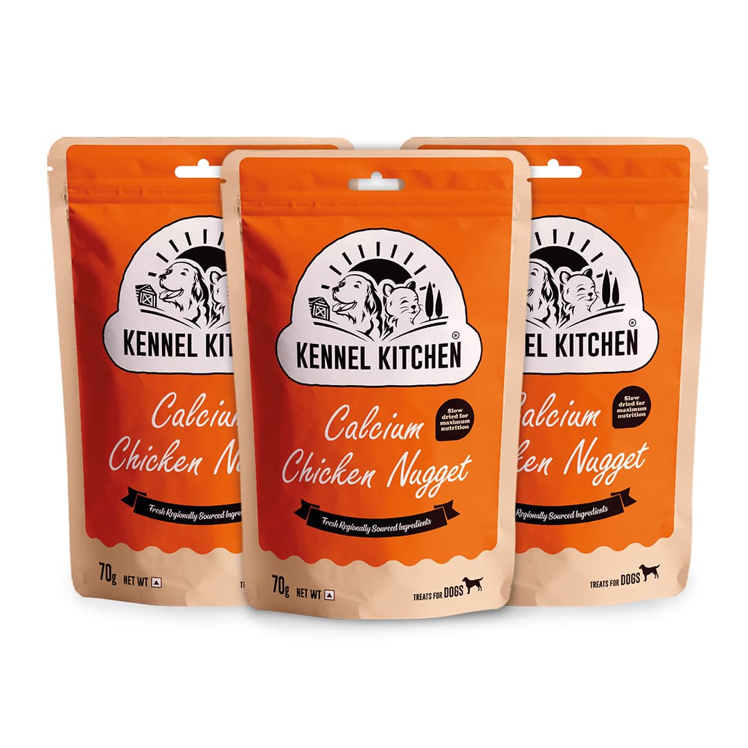 Home kitchen dog food 2025