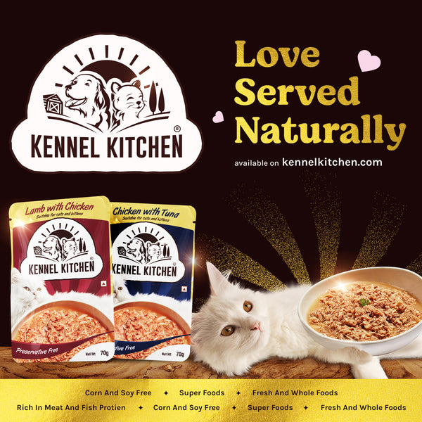 Shreds in gravy variety Pack