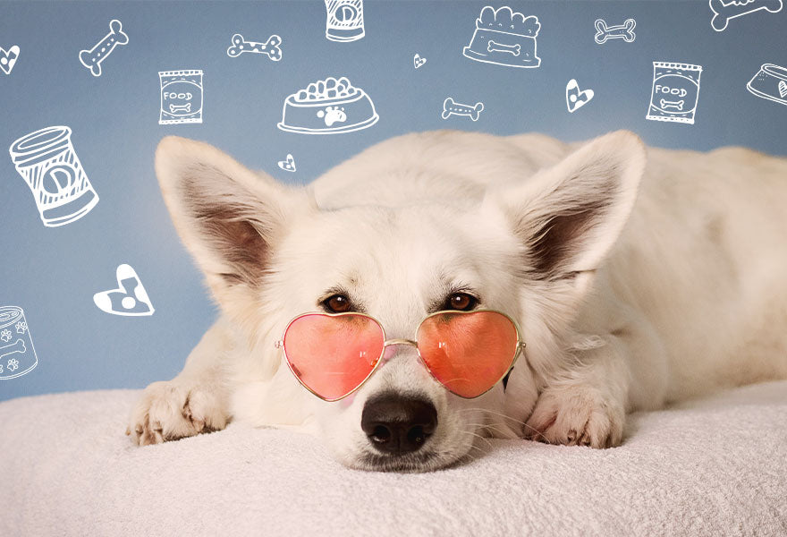 10 Homemade Treats You Can Make For Your Dogs