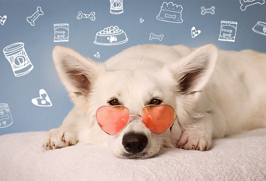 10 Homemade Treats You Can Make For Your Dogs