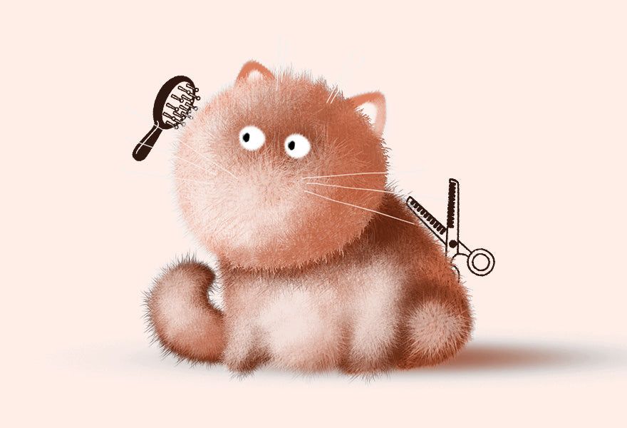 Got Long-Haired Cats? This is How You Can Manage Them