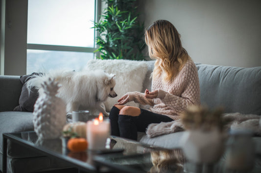 Here’s How You Can Pet Proof Your Home