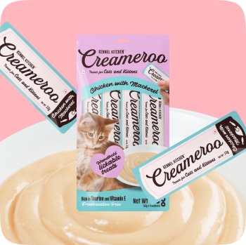 Creamy Treats