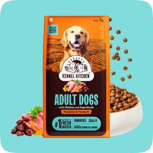 Dry Food