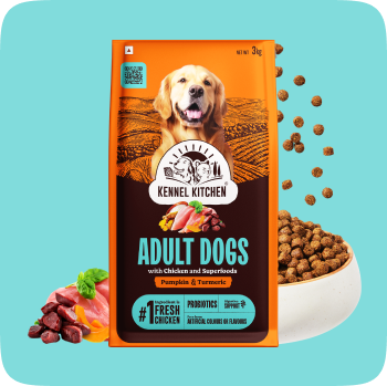 Dry Food