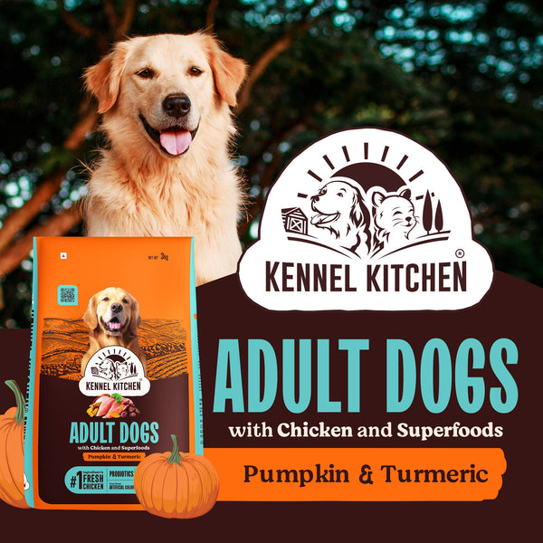 Adult Chicken Dry Food, 1kg
